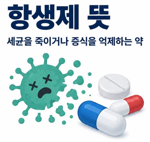 세균 아이콘과 알약 캡슐을 배경으로 항생제 뜻이라는 글자가 중앙에 놓인 감염병 치료 인포그래픽