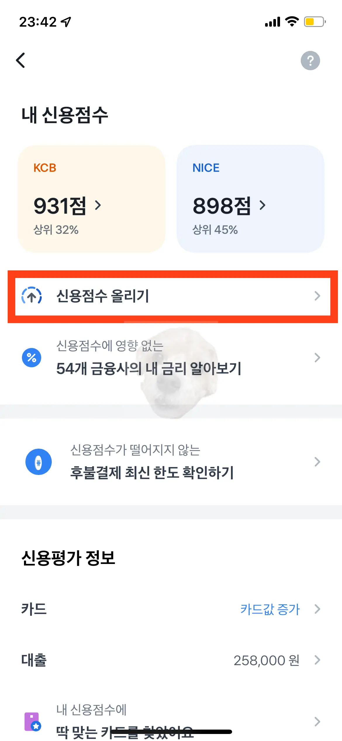 [신용점수 올리기] 항목 사진