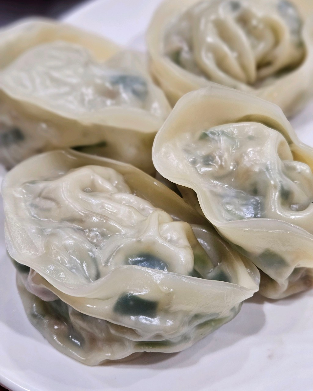 오늘N 손만두전골 서리태콩국수