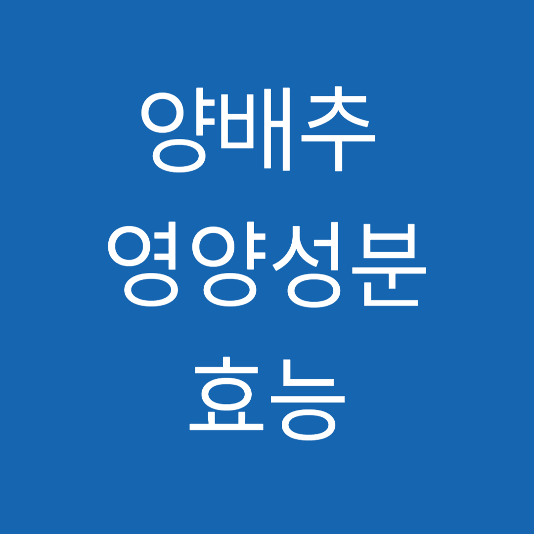 양배추