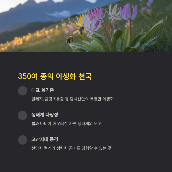 350여 종의 야생화 천국