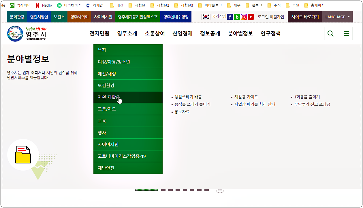 분야별 정보