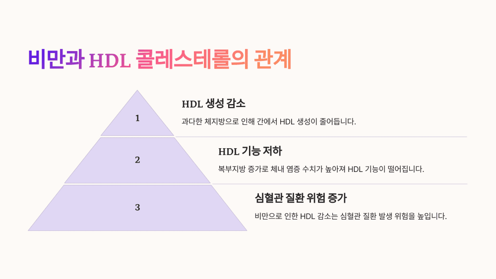 비만과 HDL 콜레스테롤의 관계는?