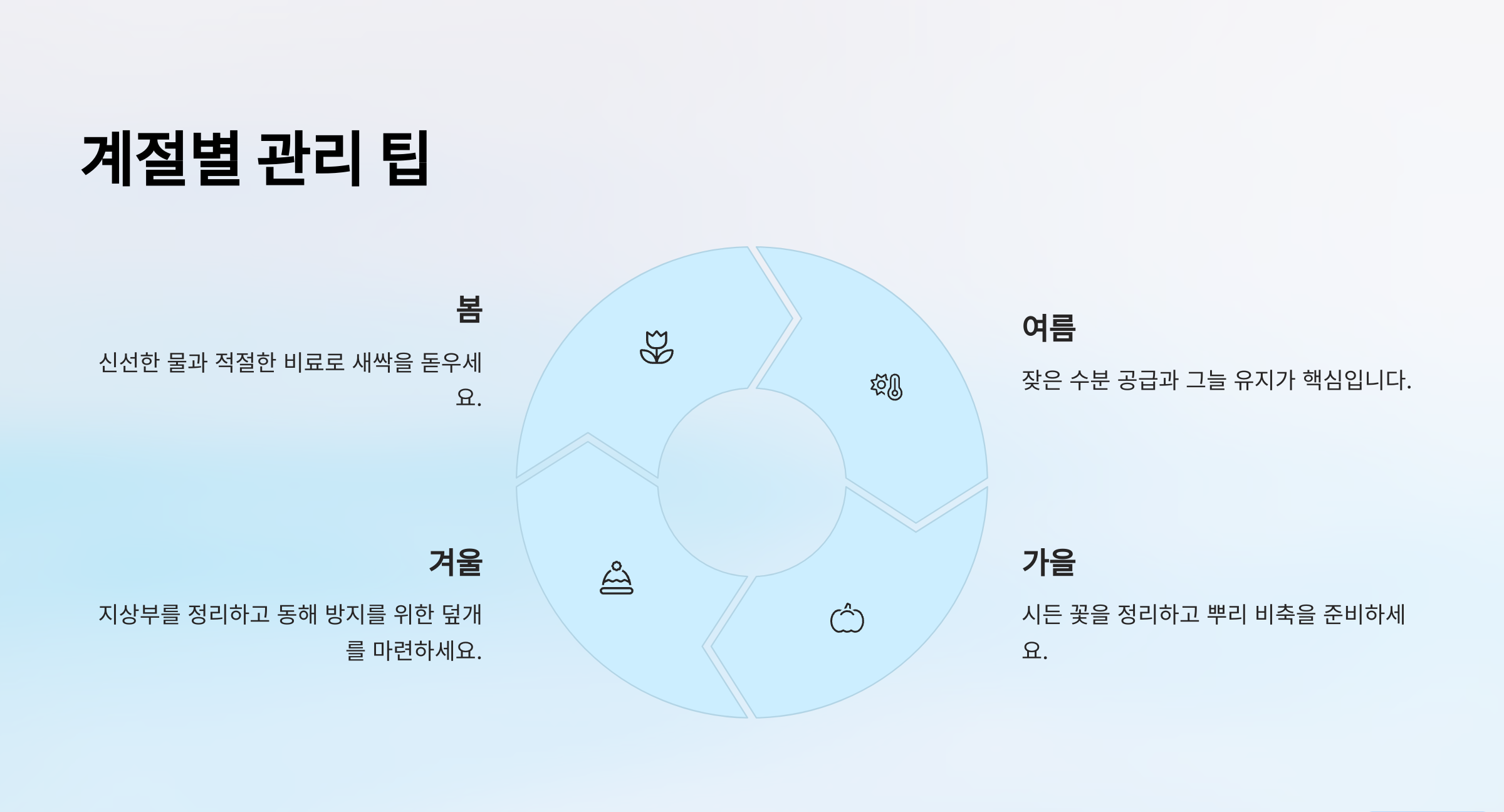 아스틸베