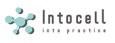 인투셀