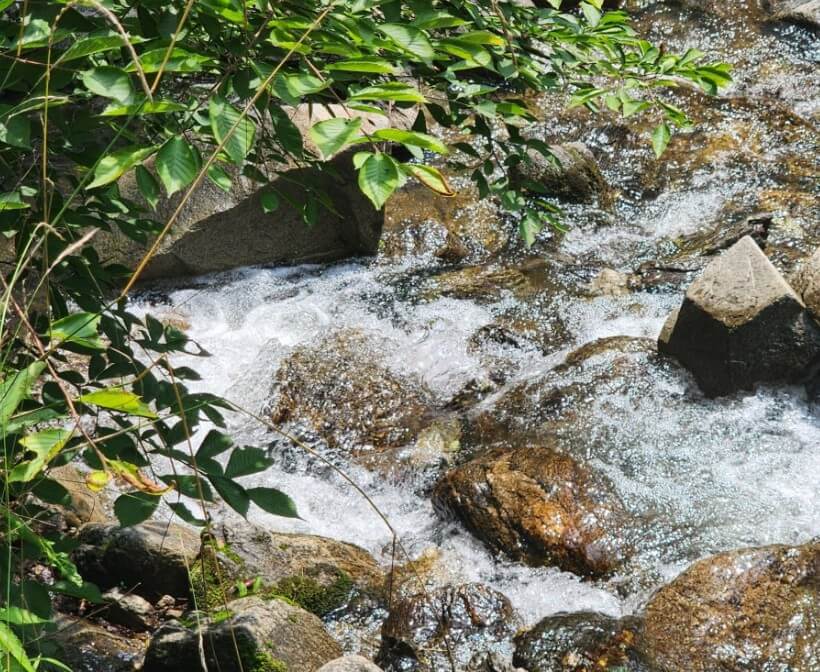 [여름휴가추천]경기도에서 꼭 가봐야 할 여름 계곡 추천 Best 6