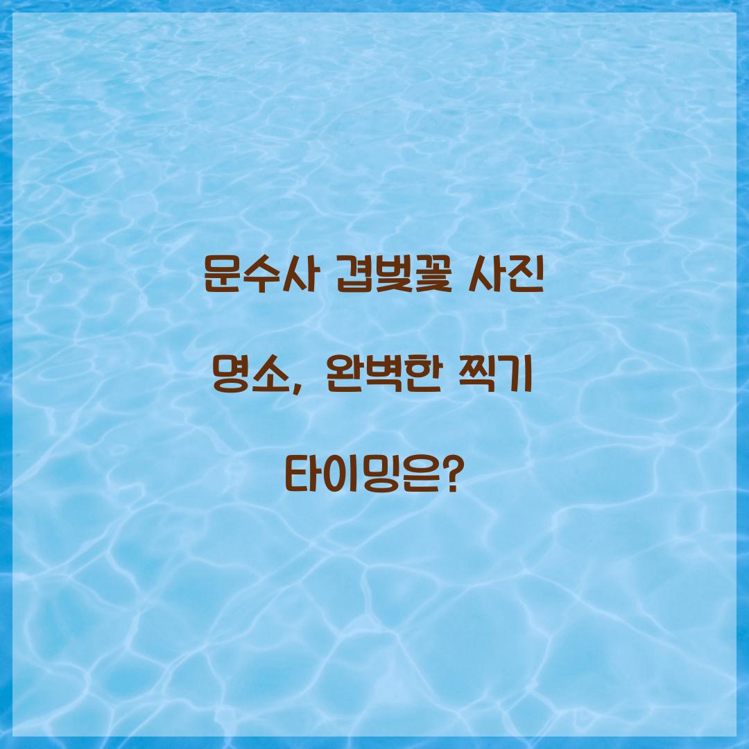 문수사 겹벚꽃 사진 명소