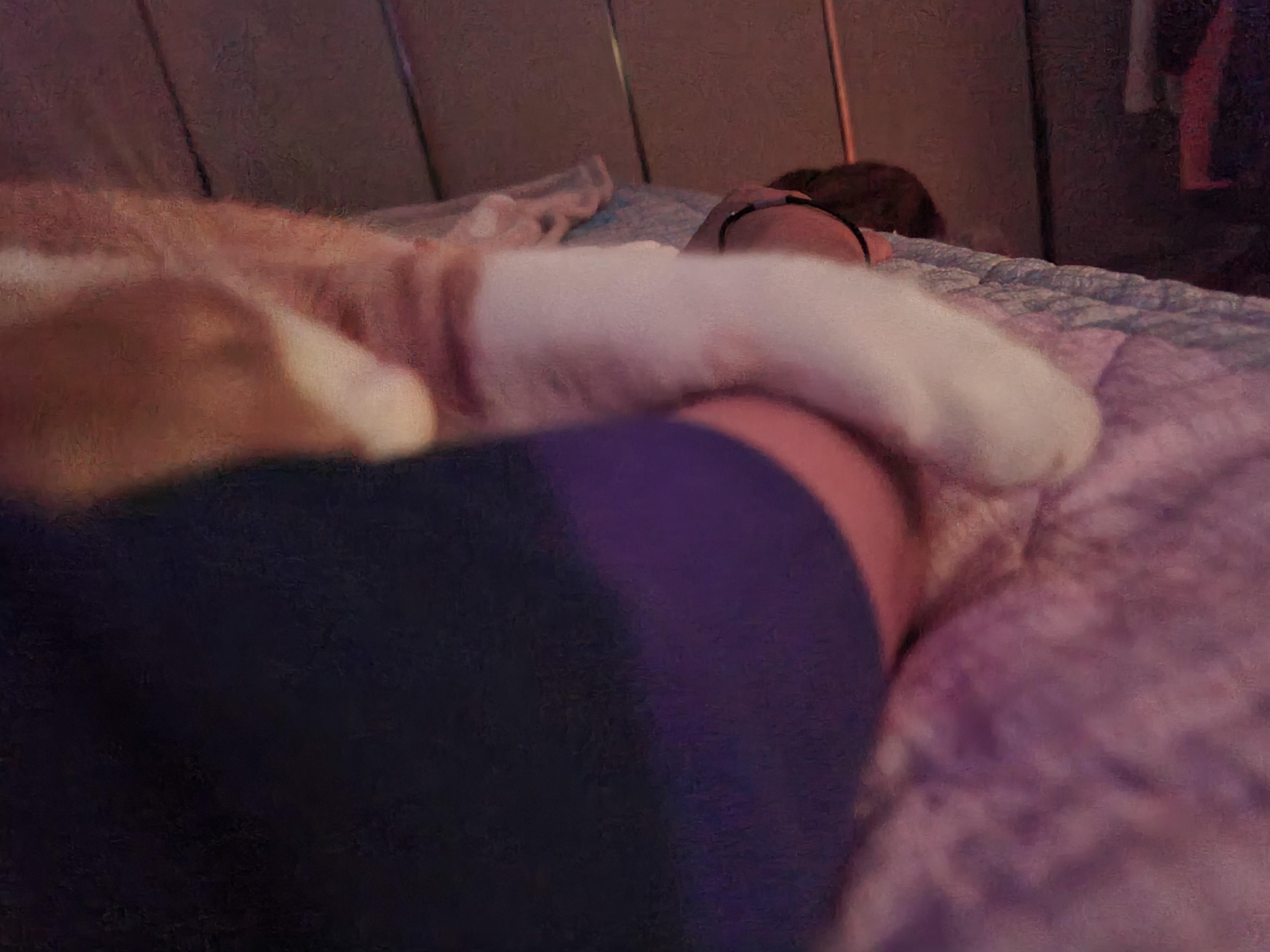 우리 이러고 자요~ 이런고양이 집에 한마리씩은 있잖아요?