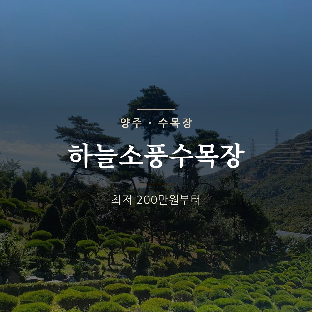 하늘소풍수목장 | 양주 수목장&middot;자연장 가격 안내