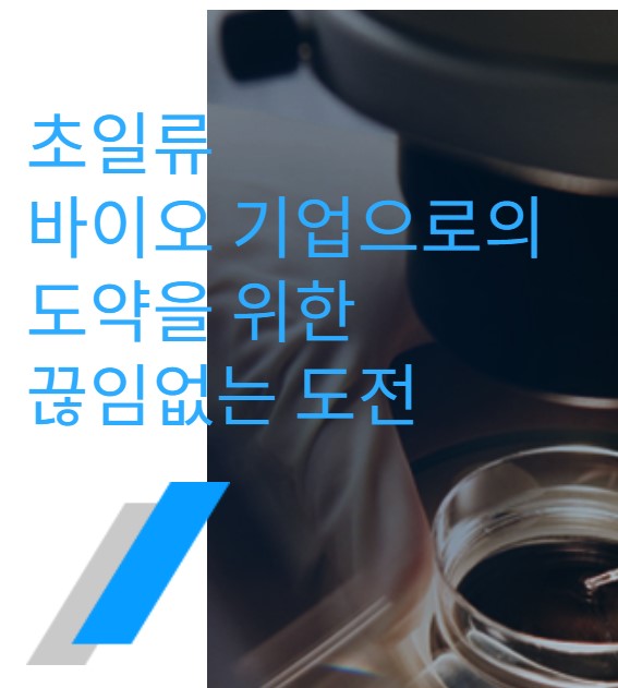 IPO-정보