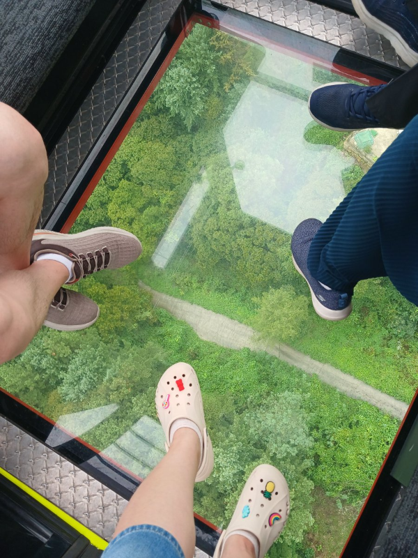 크리스탈캐빈 밑 숲속