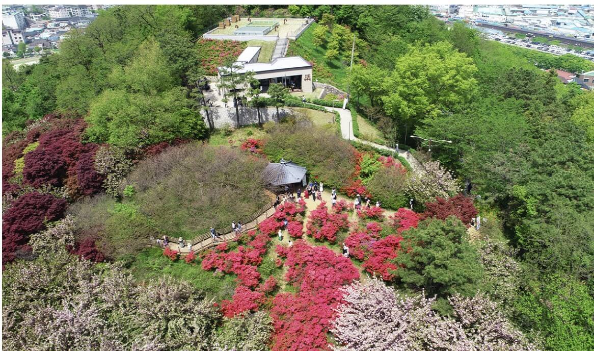 전주 자연