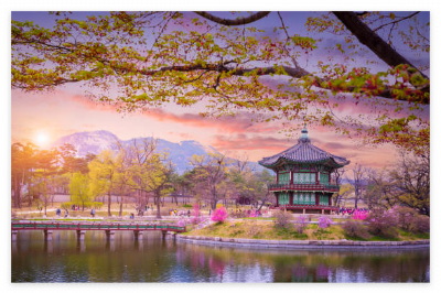 진해-군항제