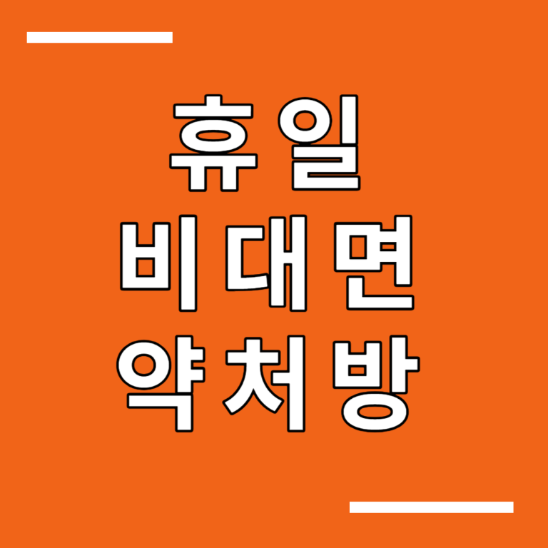 비대면 약처방 방법, 비대면진료 시간 방법 및 앱, 사후피임약