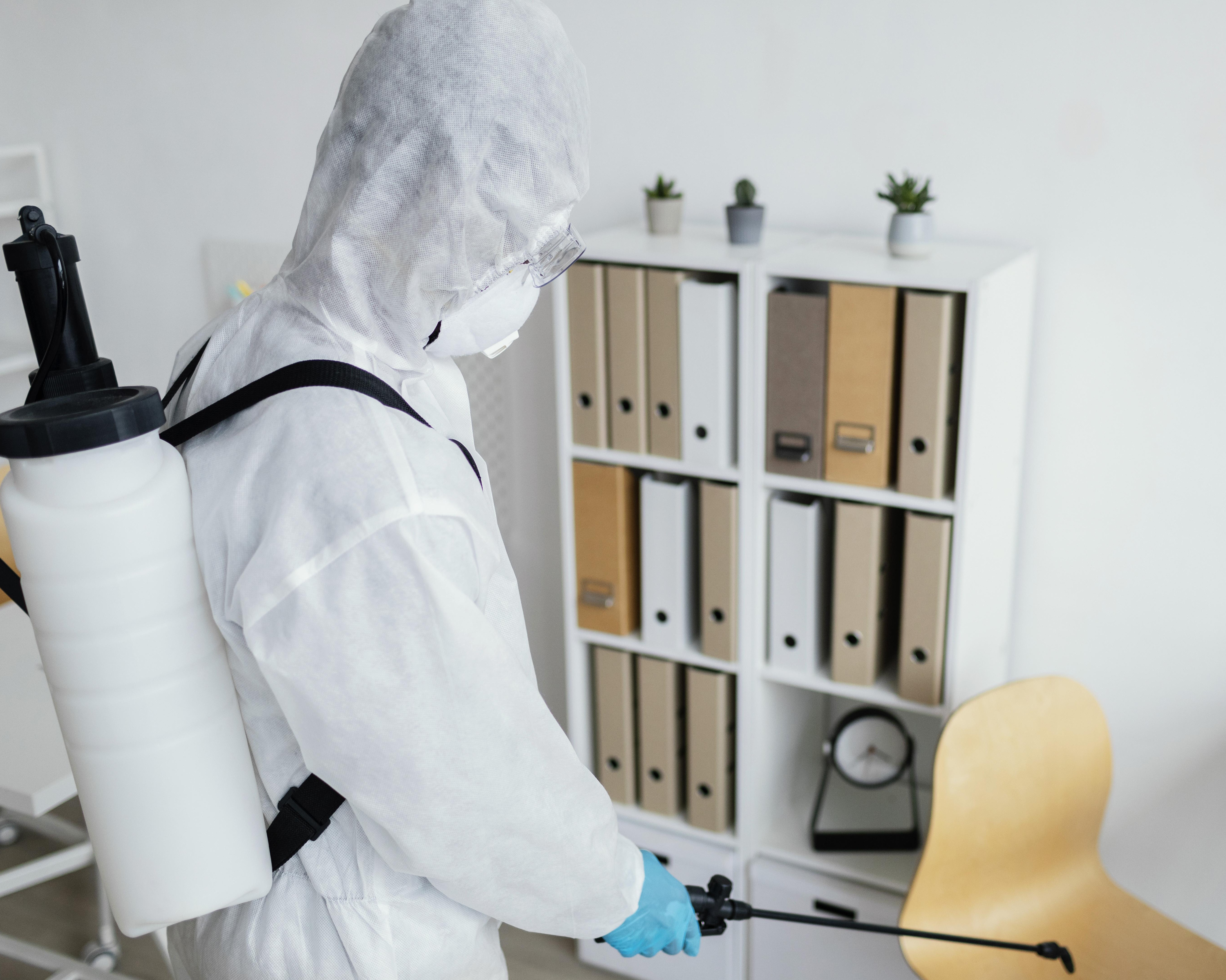 1인 가구의 해충 대처법 (바퀴,모기,초파리)