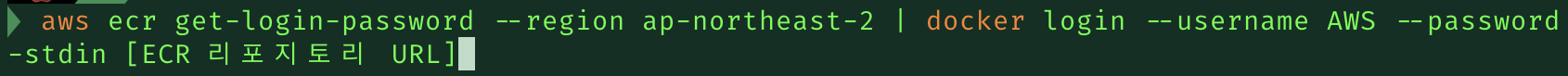ECR 로그인 명령어 입력