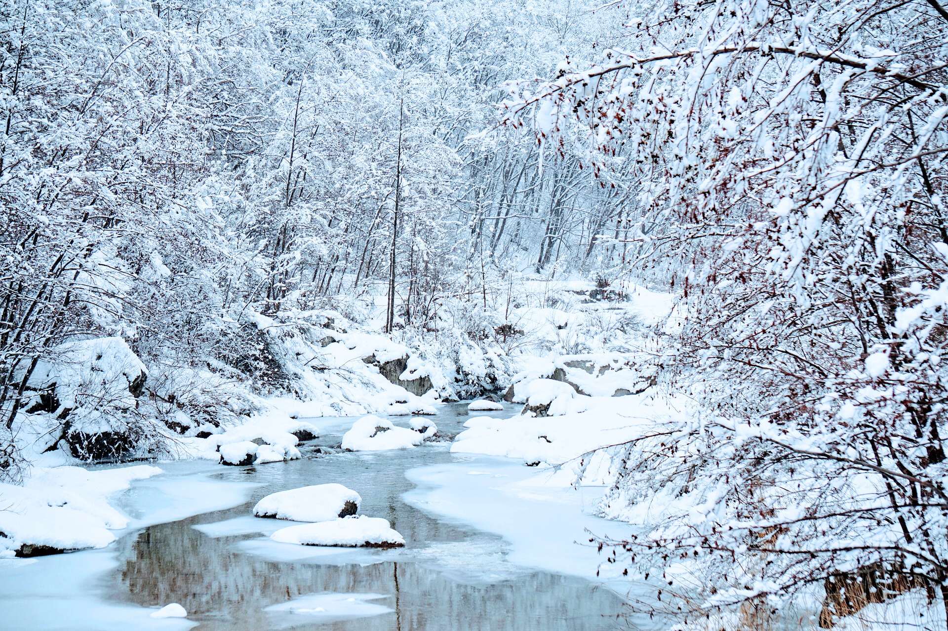 사진은 정보와 관련이 없습니다 시원한 것만 가져가세요