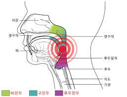 기관지염 증상 치료법
