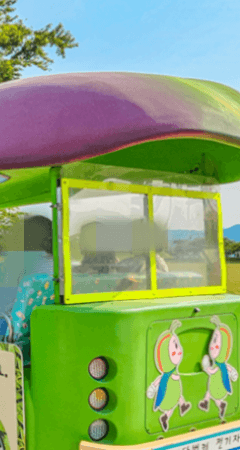 경주 비단벌레차 예약