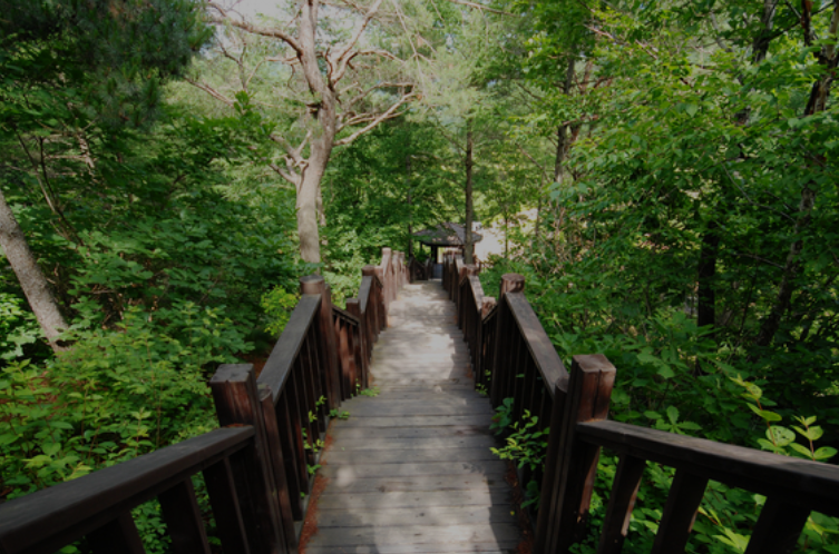 경상북도수목원