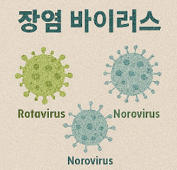 장염 증상