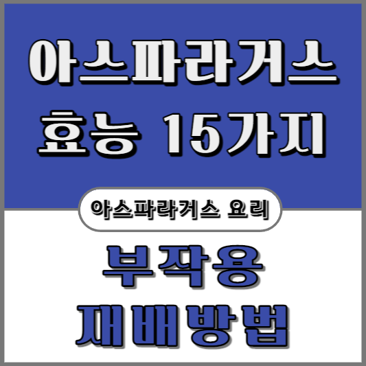 아스파라거스-효능-13가지-부작용-요리-재배방법