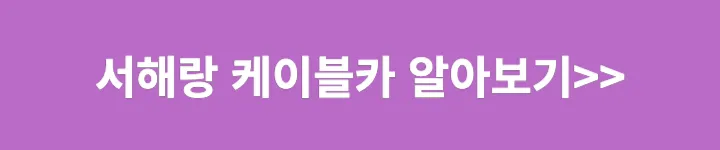 서해랑 케이블카 바로가기