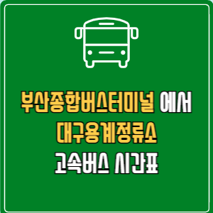 부산종합버스터미널에서 대구용계정류소 시간표 요금 예매