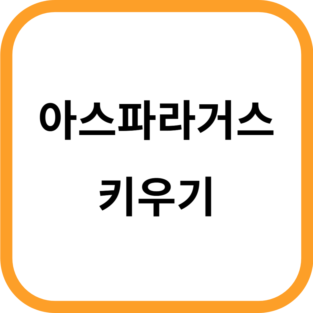 아스파라거스 키우기