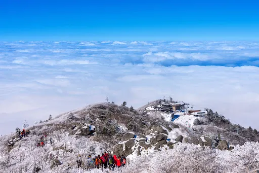 겨울에 꼭 가야 할 국내 여행지 BEST 5 