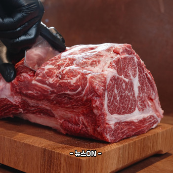 알부민 많은 음식