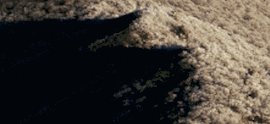 Tile 9