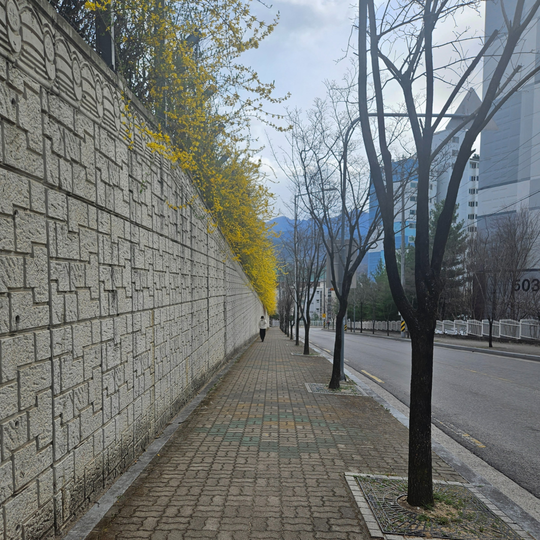 실제 거리 사진