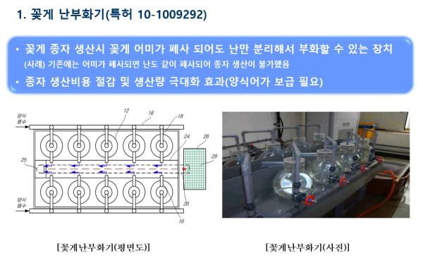 기술이전 특허 설명 사진