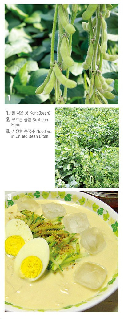 인제 5대 명품 콩