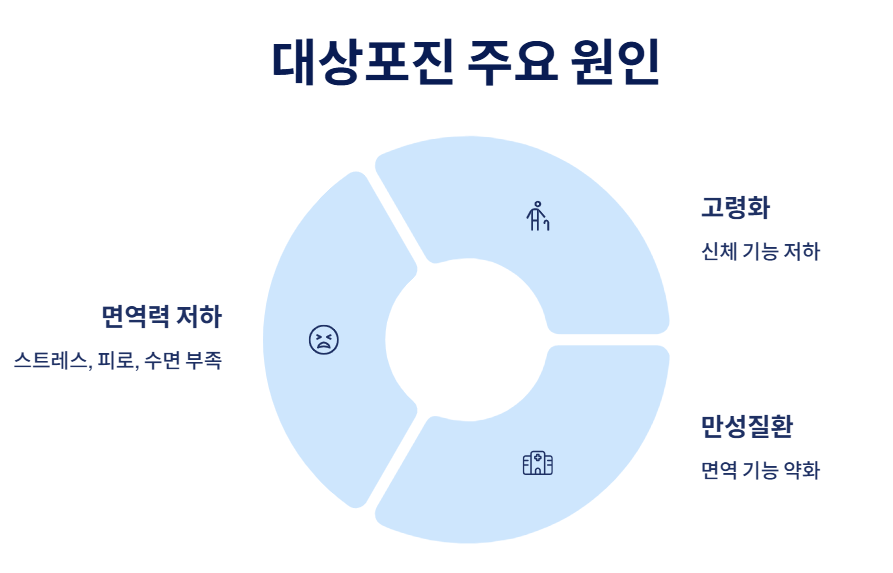 대상포진 주요 원인