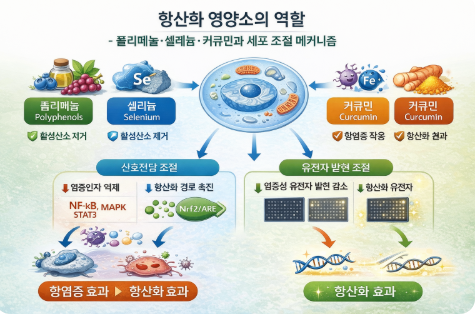 항산화 영양소의 역할
