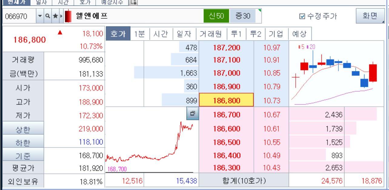엘앤에프-주가