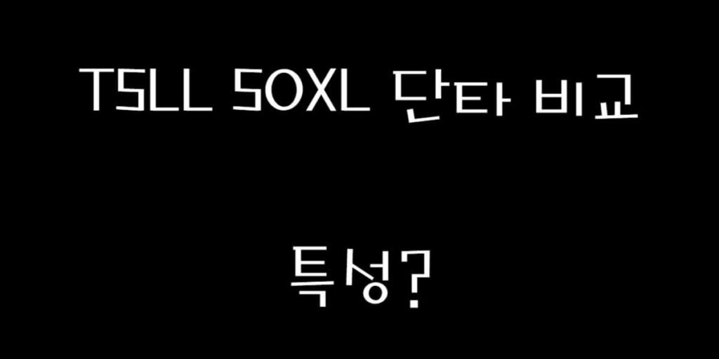 TSLL SOXL 특성, 썸네일