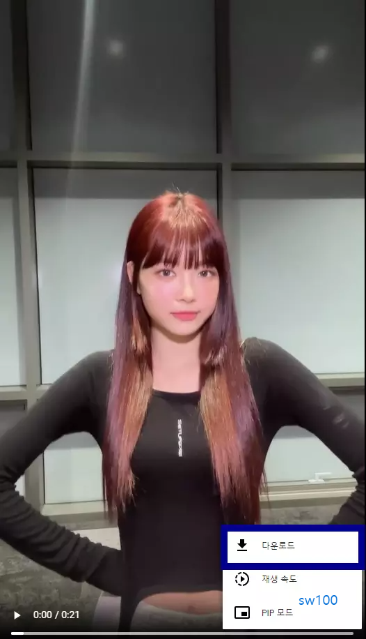광고 없는 iGram 사이트 사용법 5