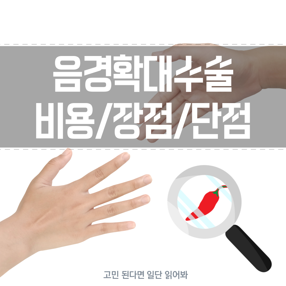 음경확대수술 비용