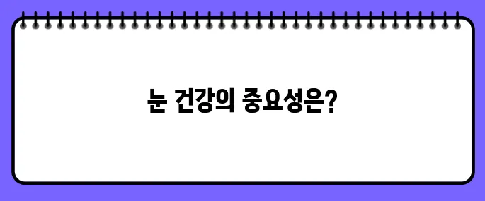 눈 실핏줄이 터지는 이유