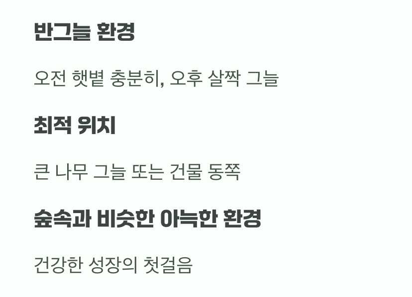 비결 1. 숲속 환경, 그대로 옮겨오기