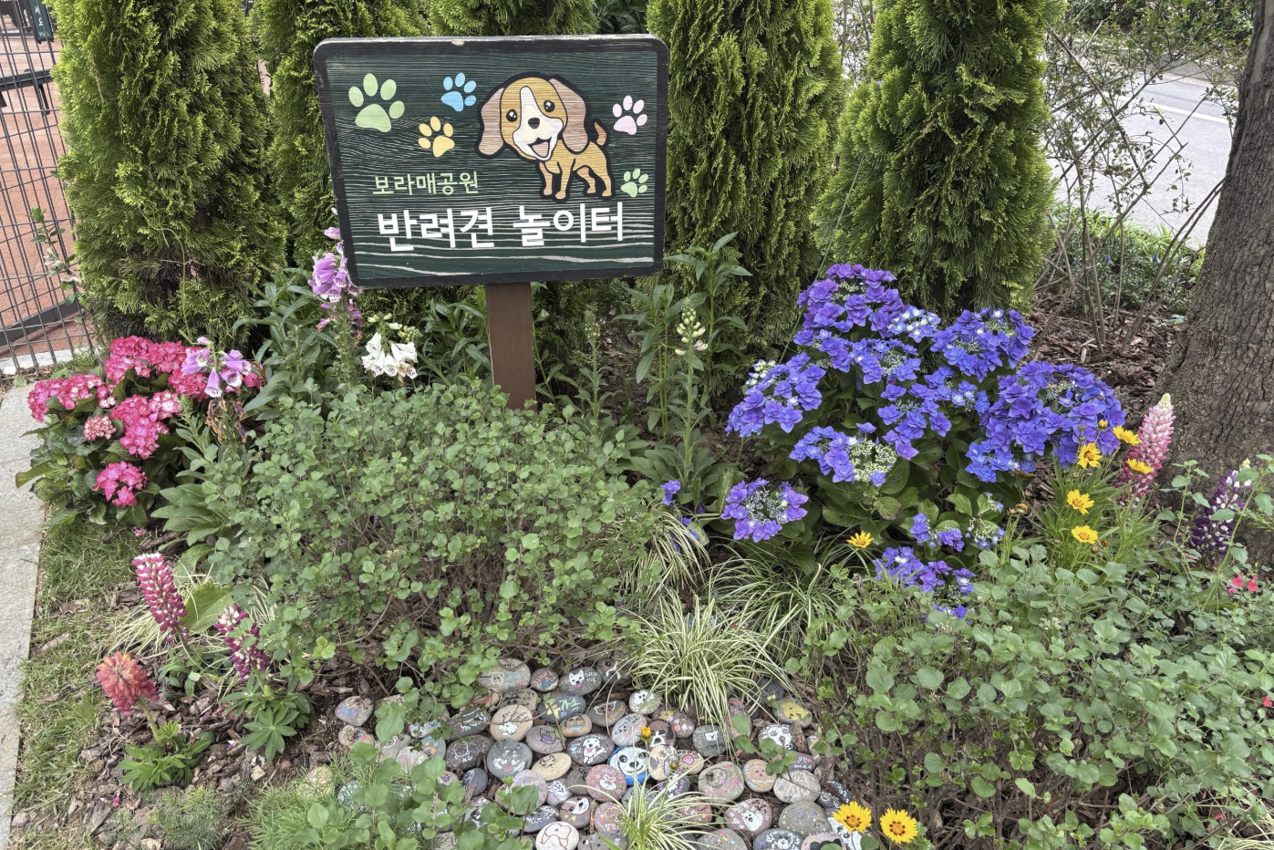 보라매공원 서울국제정원박람회 반려견놀이터