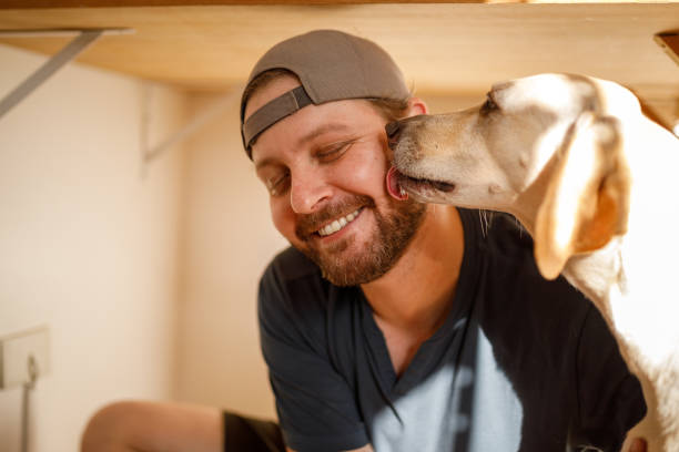 강아지가 주인을 핥는 이유 5가지와 대처방법