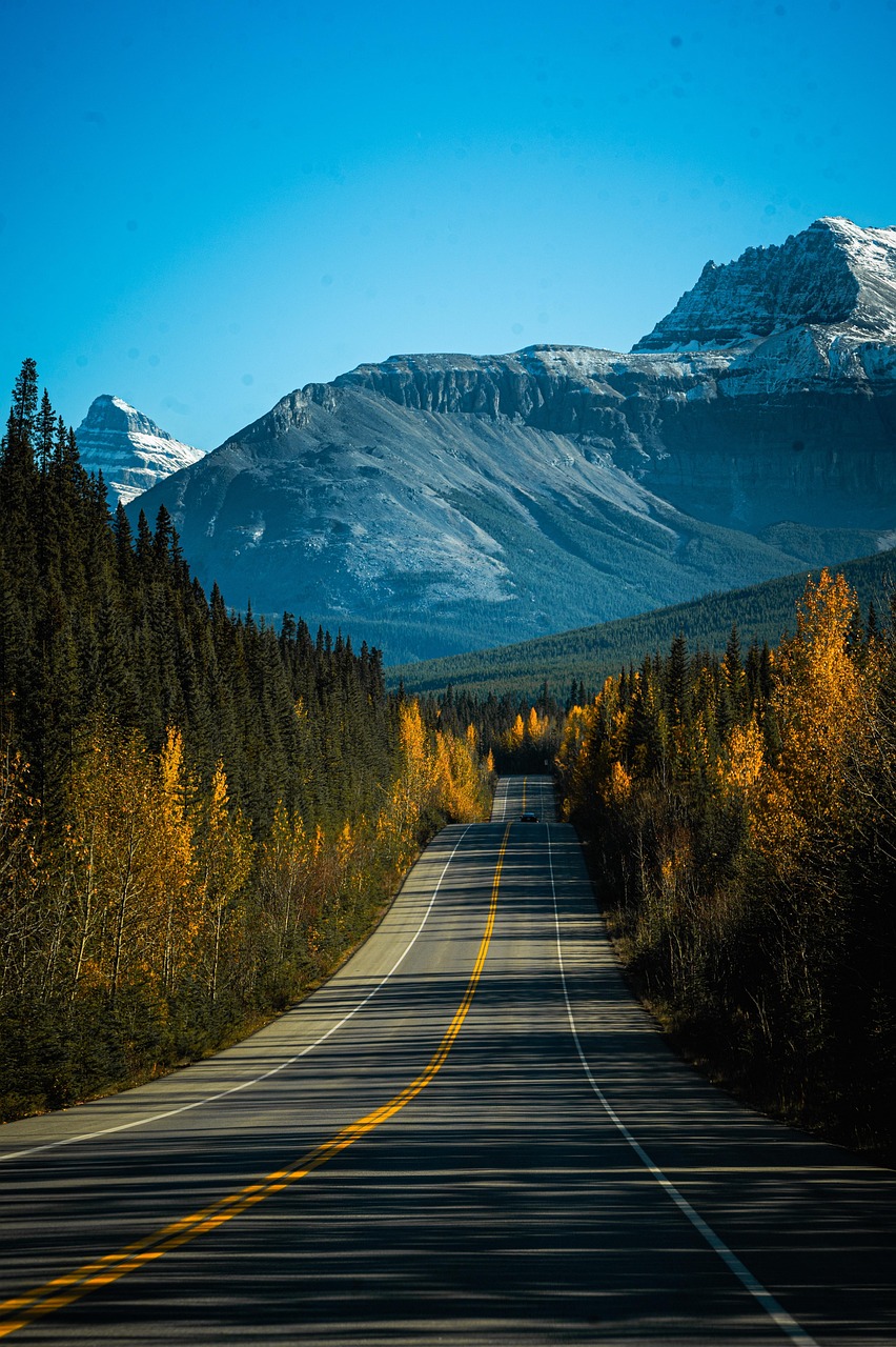 제28편 설명의 착각(Illusion of Explanatory Depth): 우리는 왜 이해하지 못한 것을 이해했다고 느끼는가