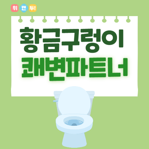 차전자피 황금구렁이 변비 탈출 다이어트 효능, 부작용, 후기