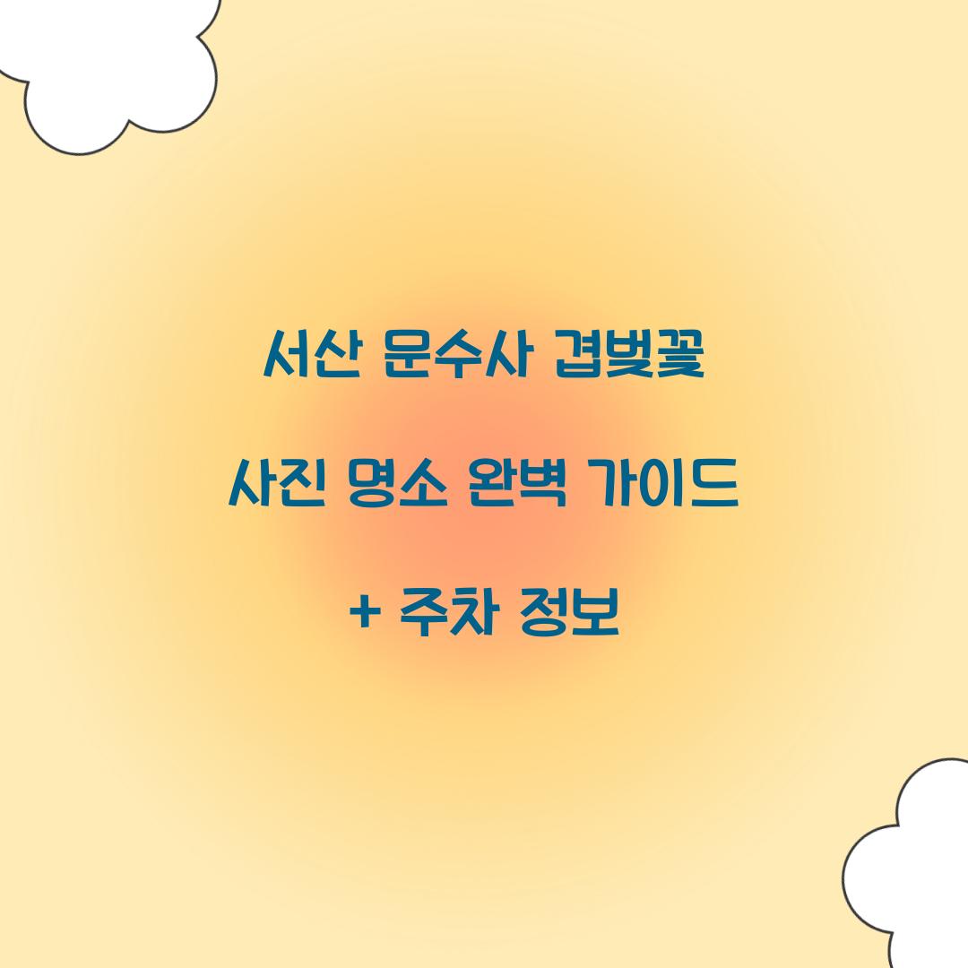 문수사 겹벚꽃 사진 명소