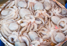 쭈꾸미 볶음 및 손질법 (+ 특제 양념장 요리)