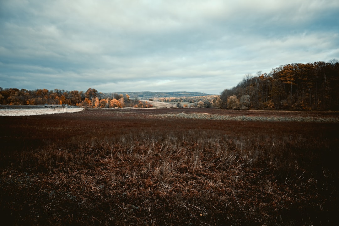 Mapleland